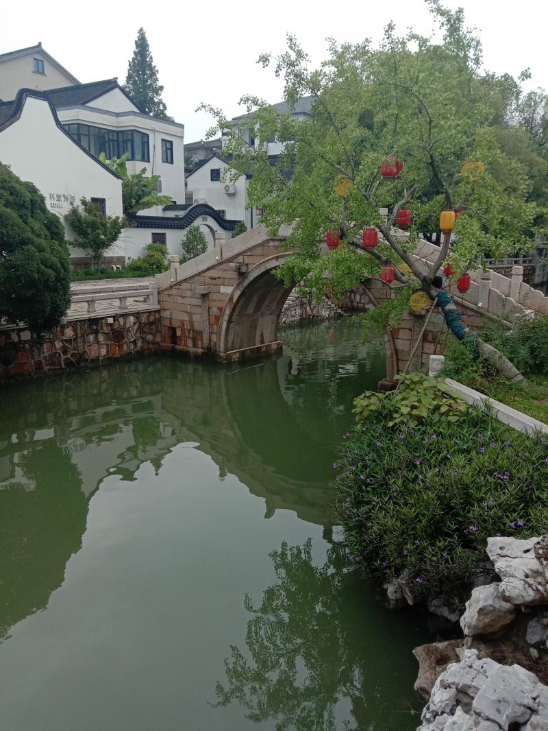 3、“ 小桥流水人家”七都镇老年大学吴云娟15262389467.jpg 3、“ 小桥流水人家”七都镇老年大学吴云娟15262389467.jpg